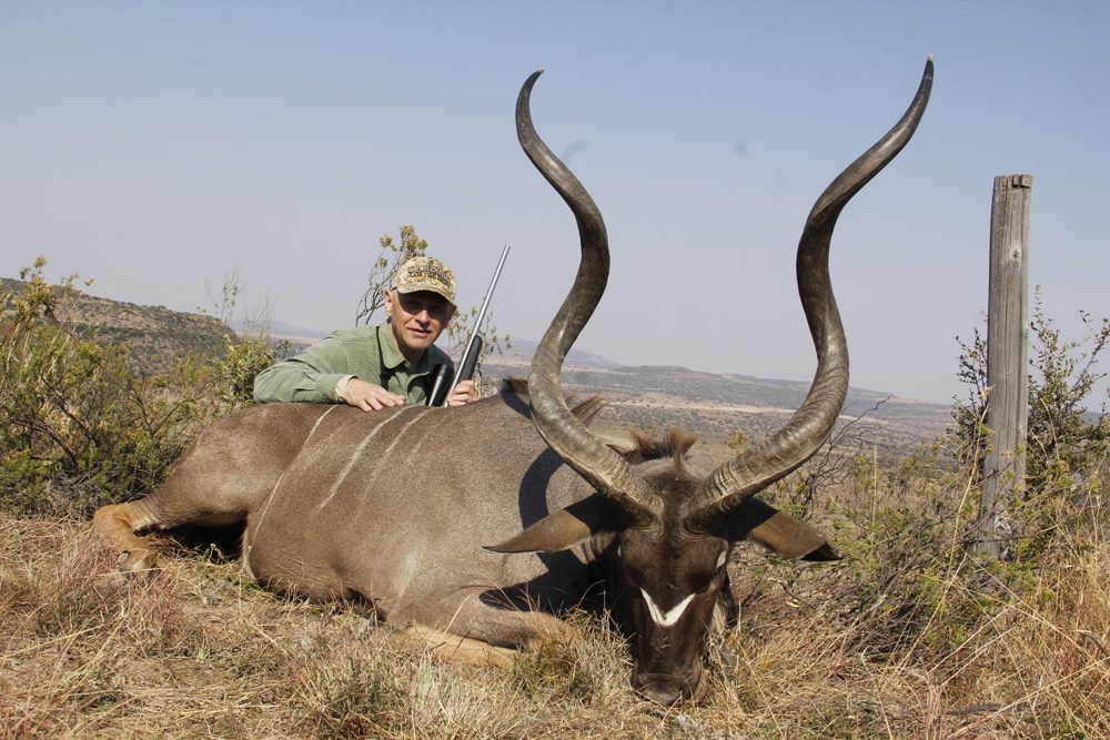 Kudu