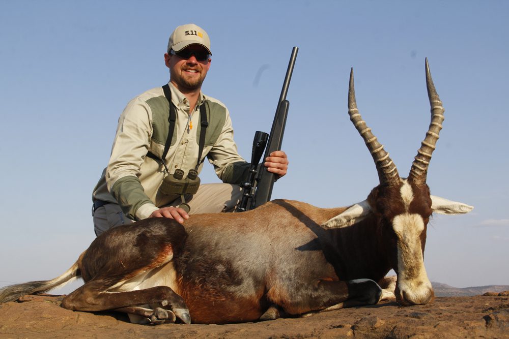 Blesbuck