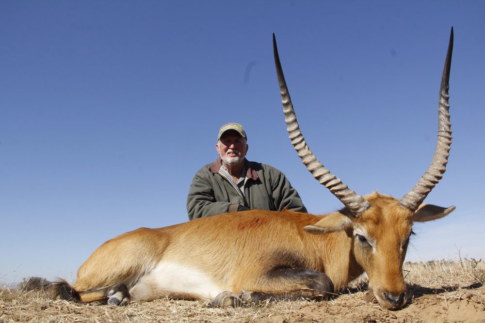 Mountain Reedbuck