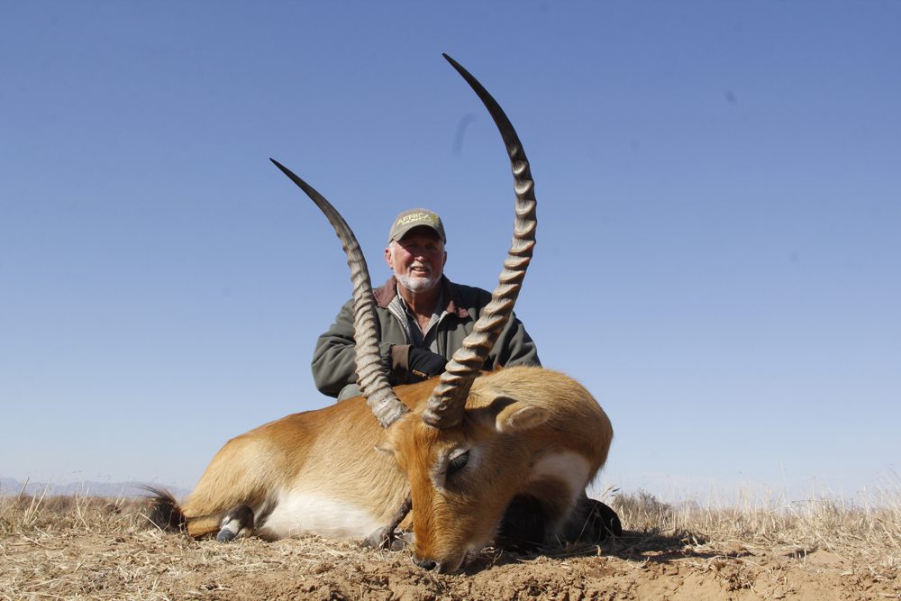 Lechwe