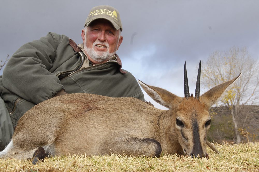 Duiker