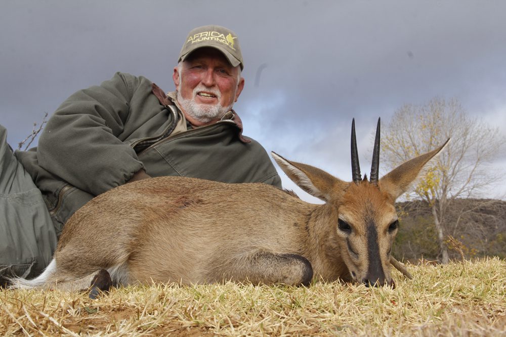 Duiker