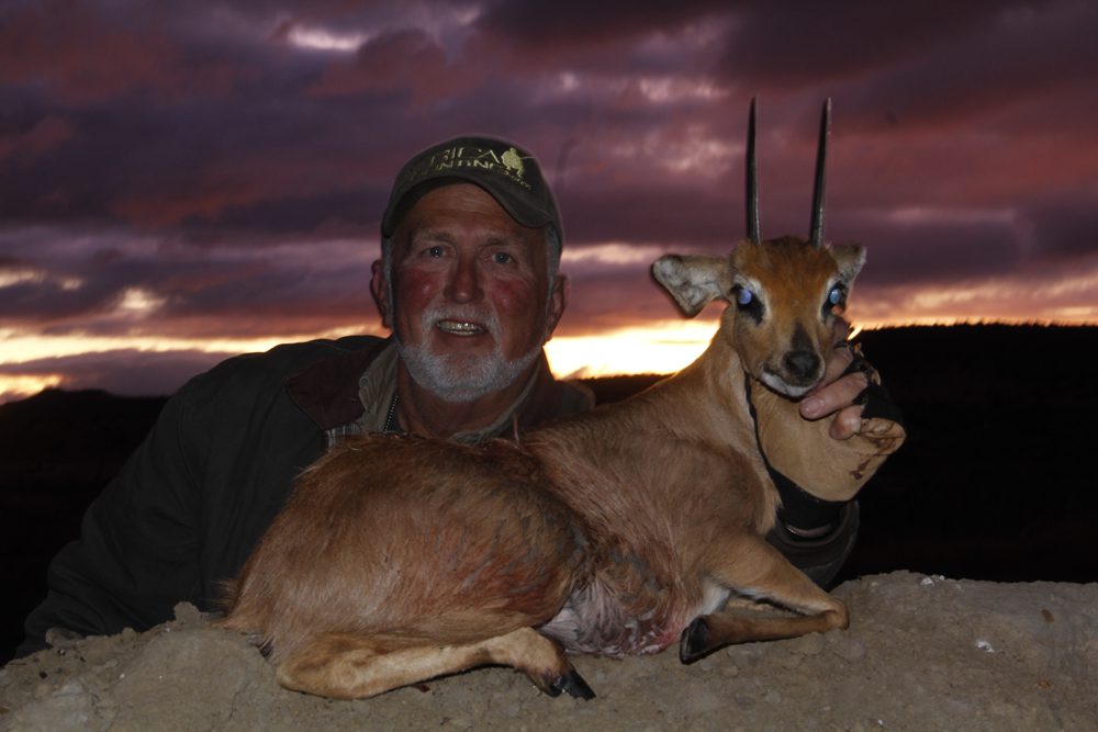 Steinbuck