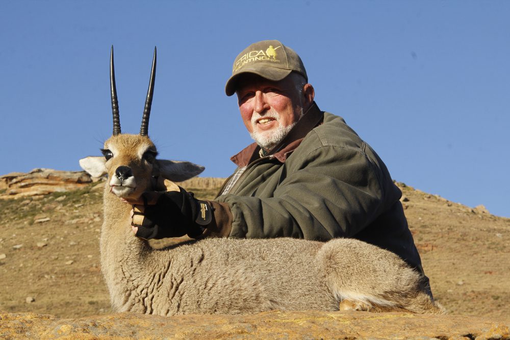 Grey Rheebuck