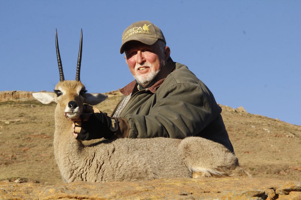 Grey Rheebuck
