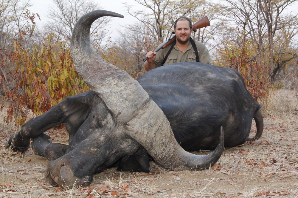 Buffalo