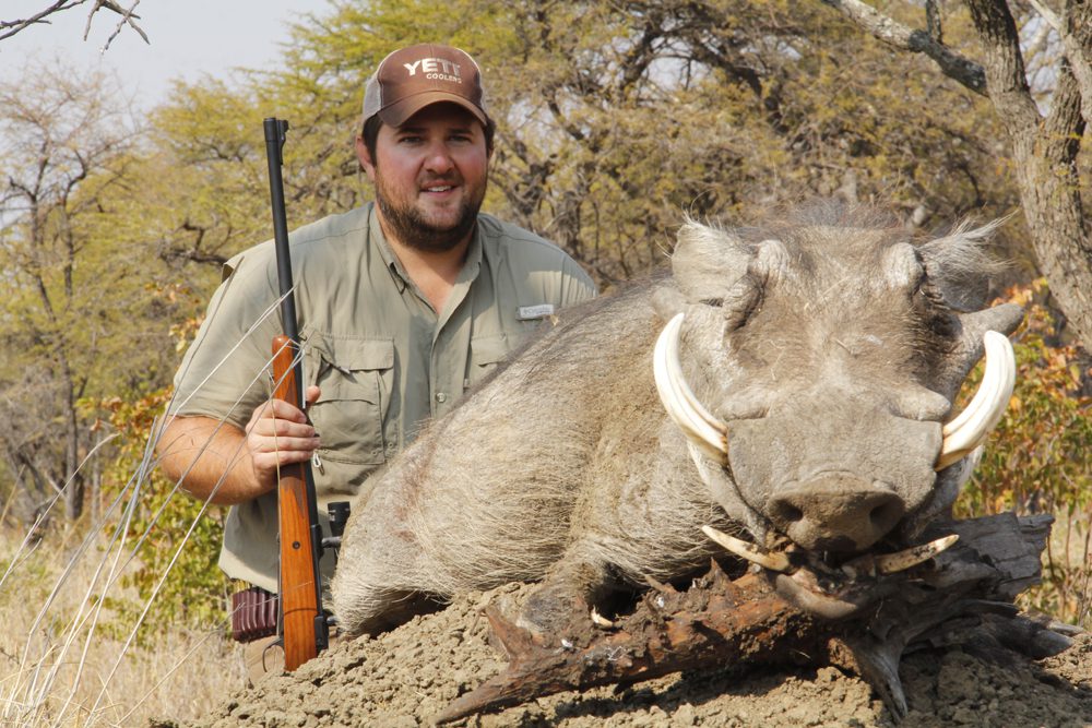 Warthog