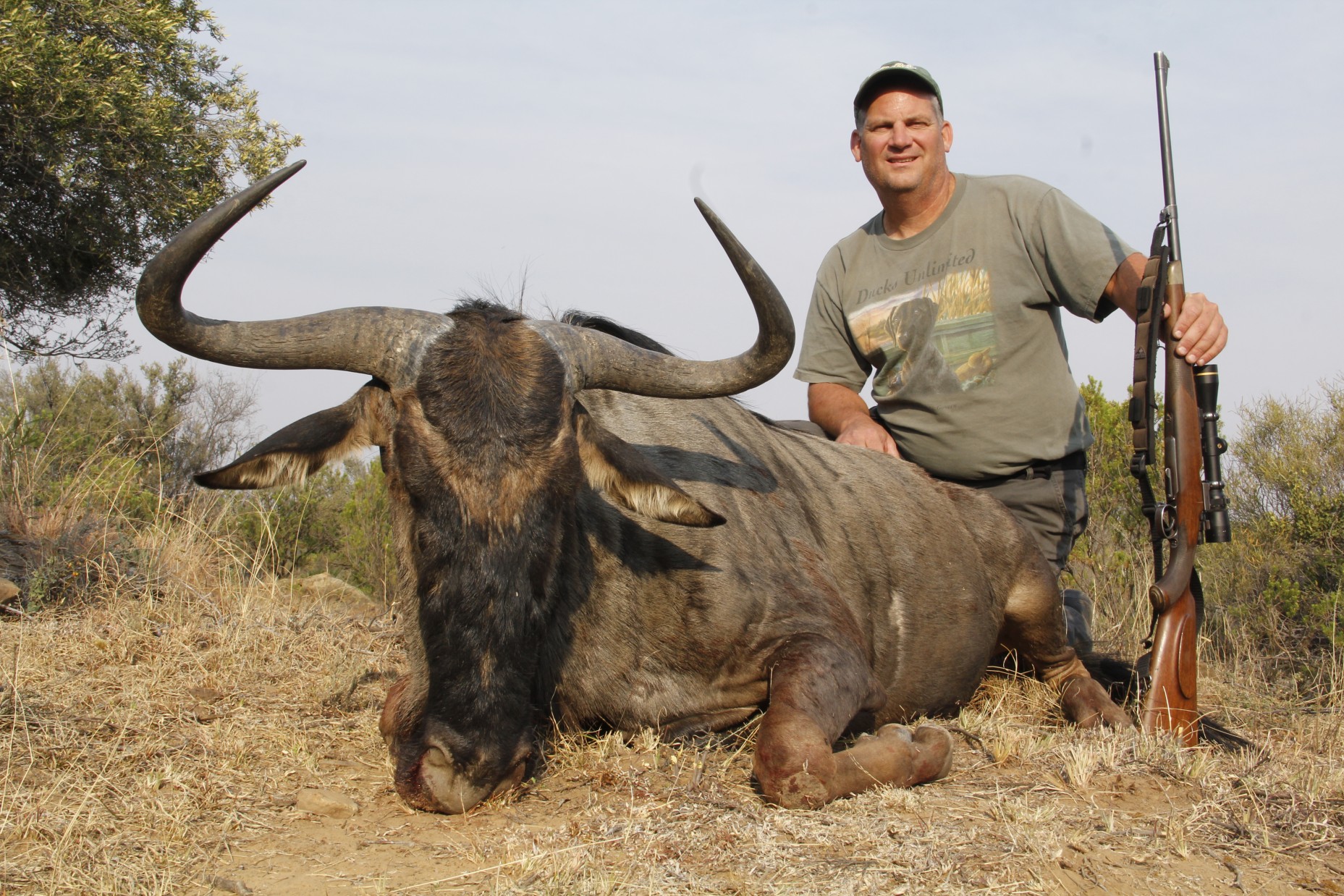 Lategan Safaris – Gallery