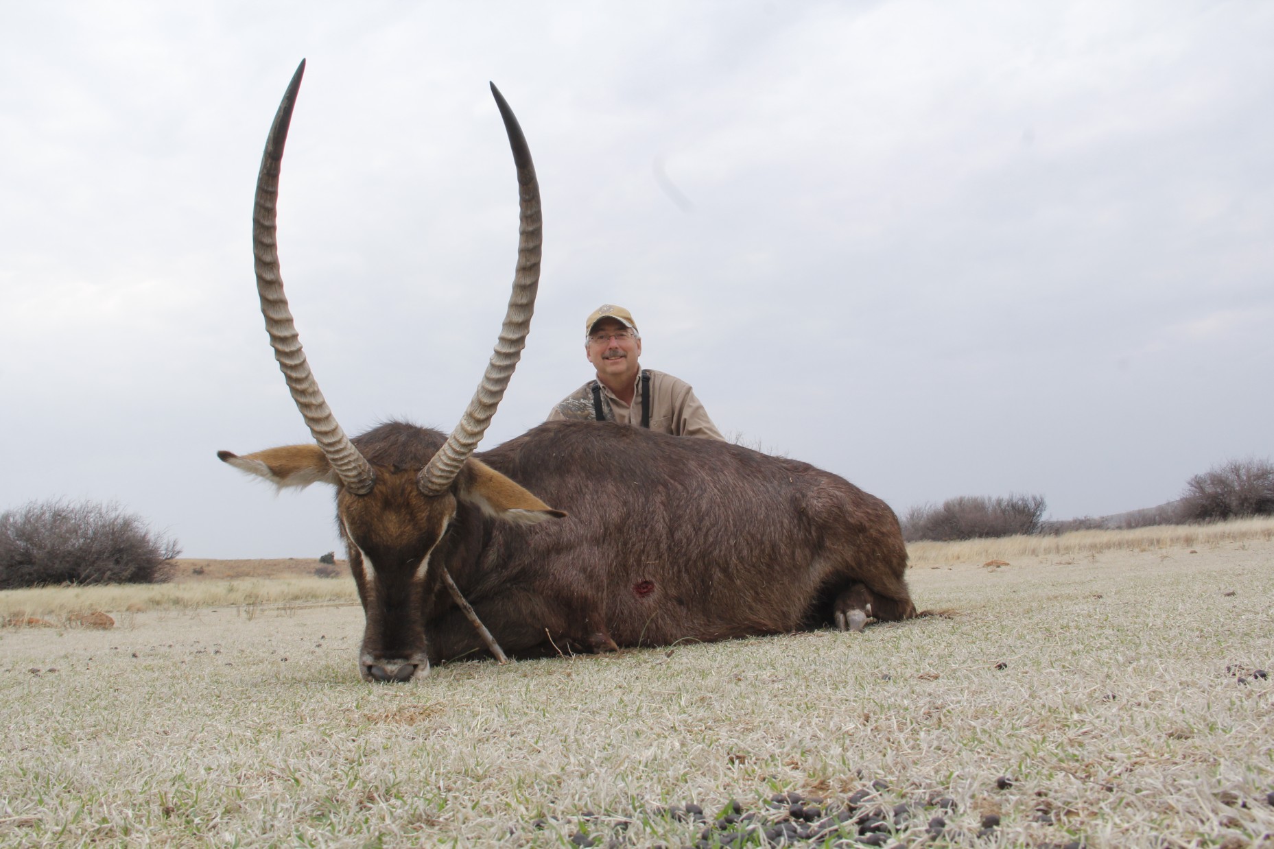Lategan Safaris – Gallery