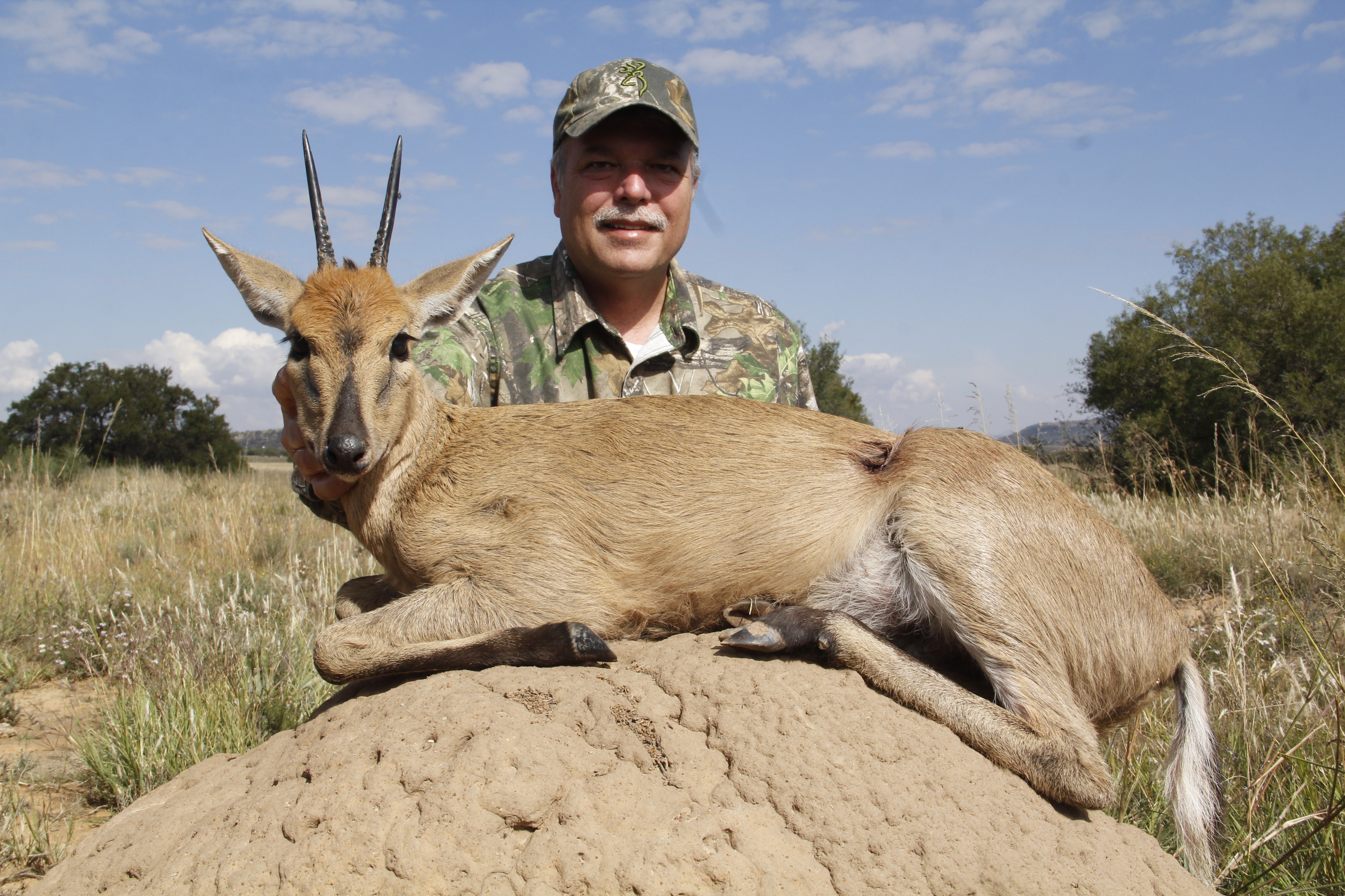 Duiker
