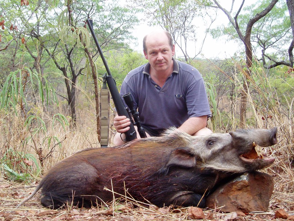 Bushpig