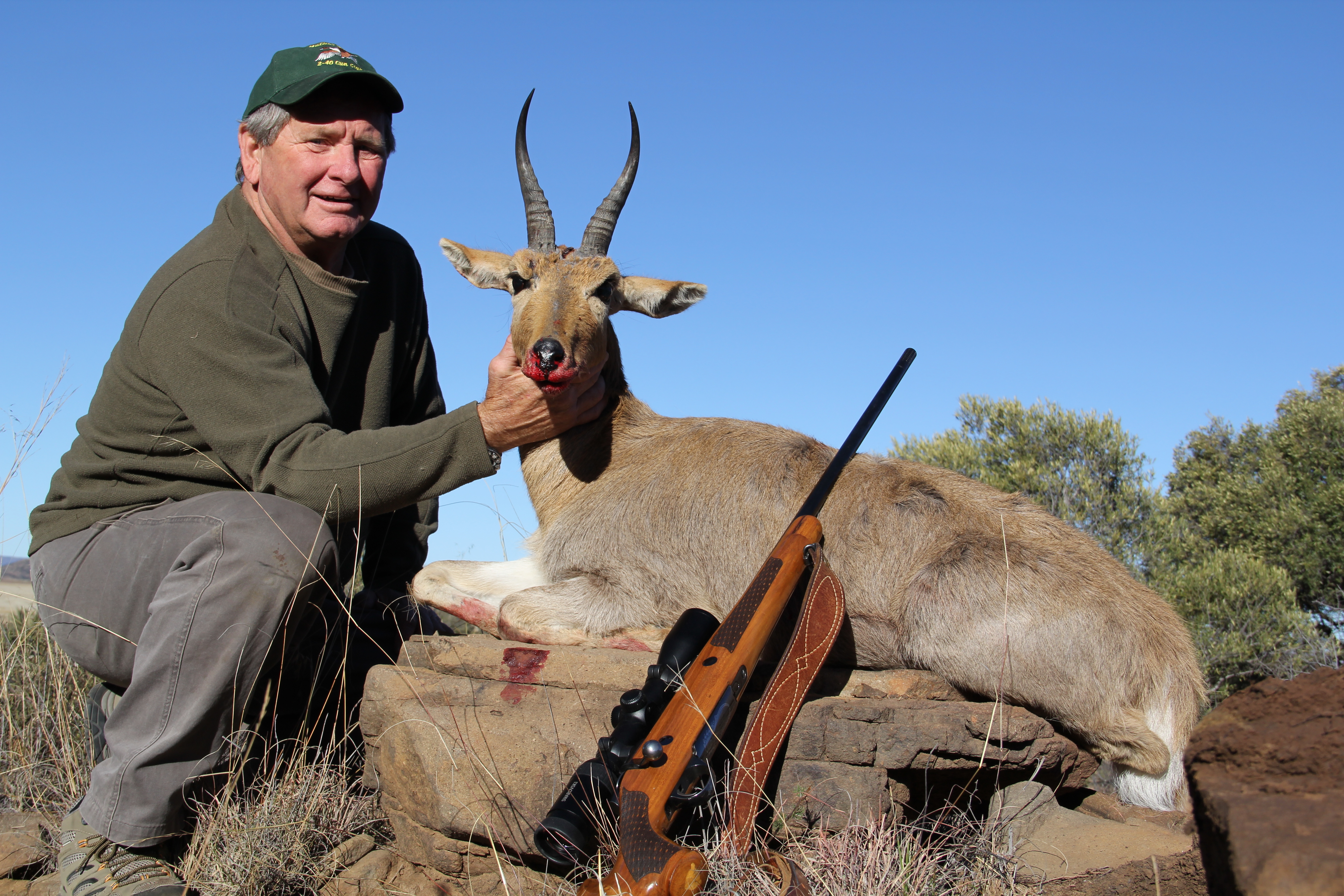 Mountain Reedbuck
