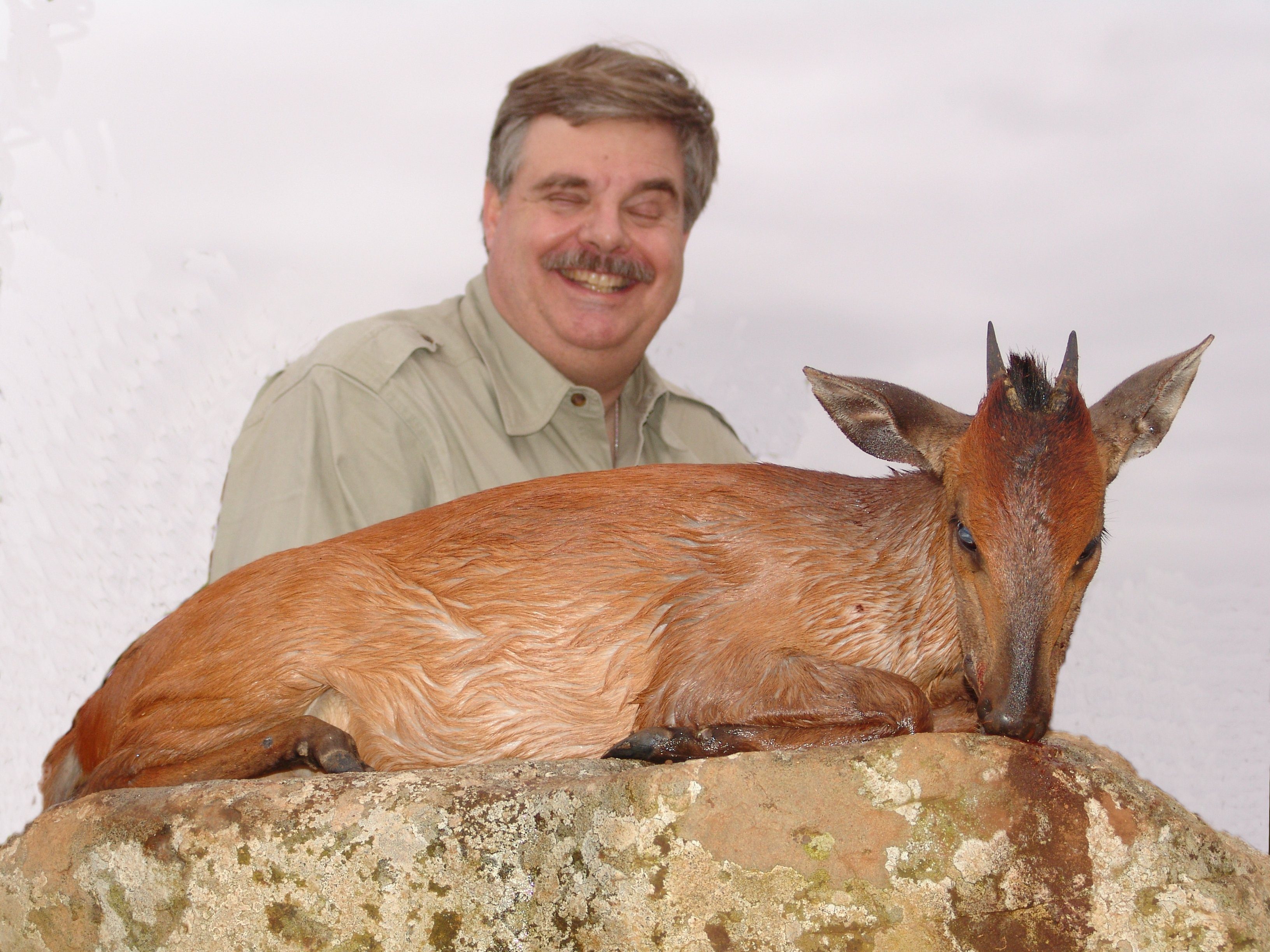 Duiker