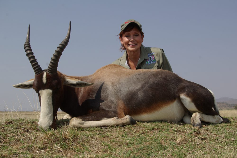 Bontebok