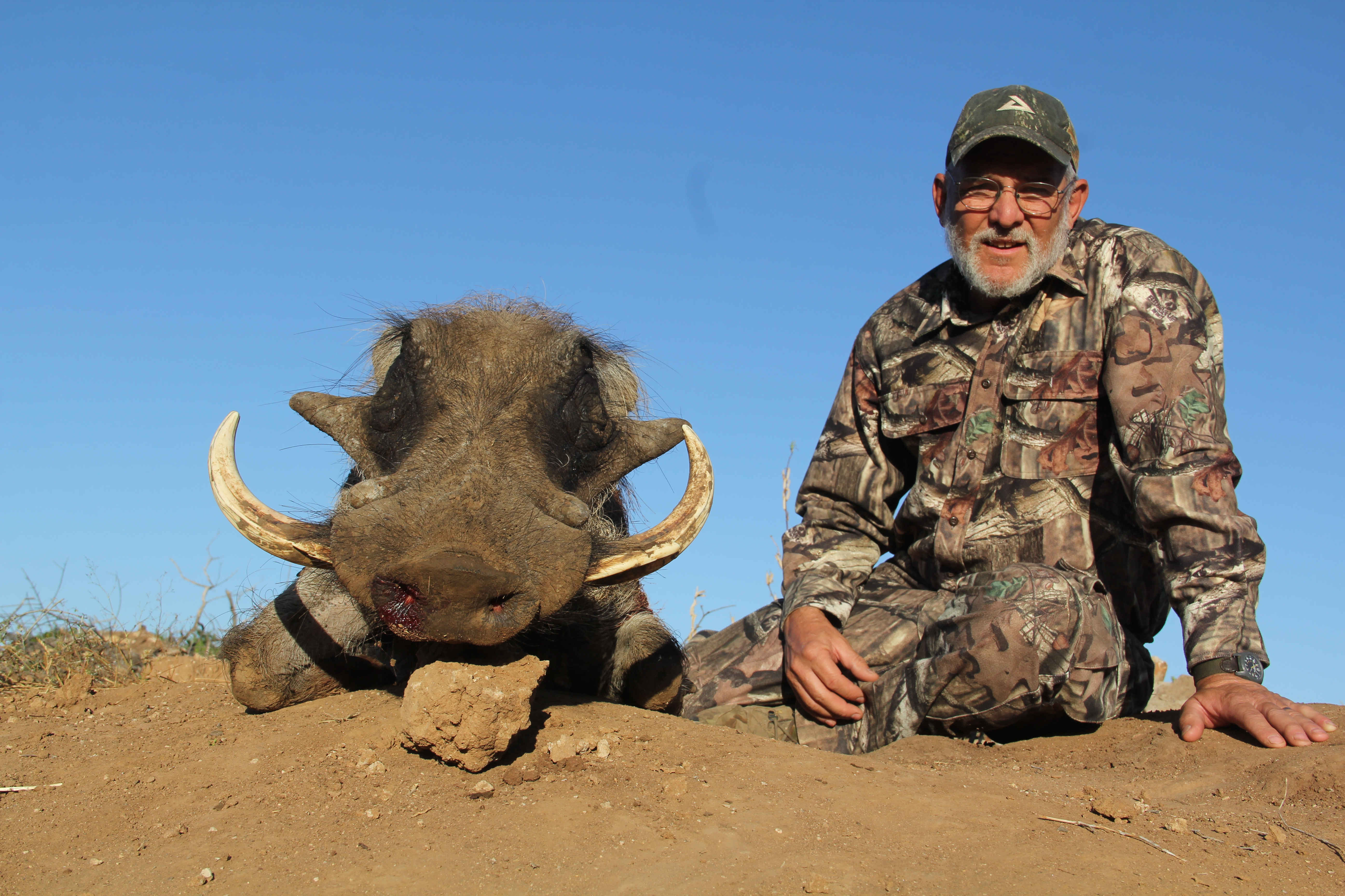 Warthog