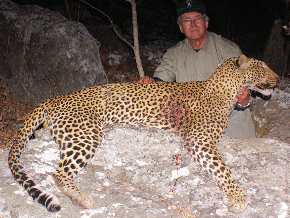 Leopard