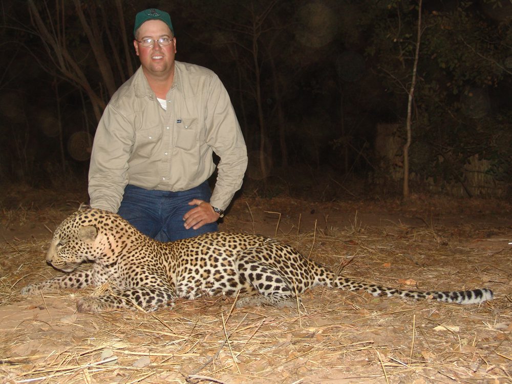 Leopard